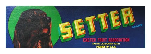 Setter Fruit Label