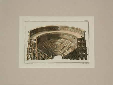 Cross-Section of the Coloseum