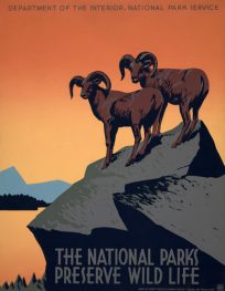 The National Parks Preserve Wildlife