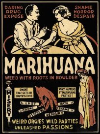 Marihuana - Weed with Roots in Boulder