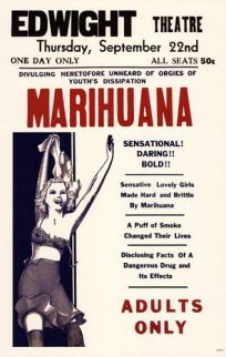 Marijuana - Divulging Heretofore Unheard of Orgies of Youth's Dissipation