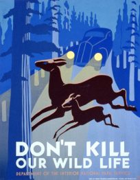 Don't Kill Our Wild Life