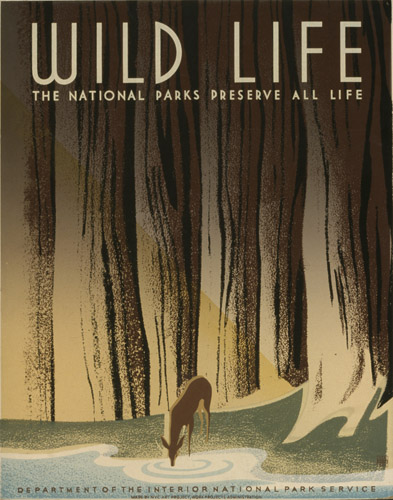 Wild life - The national parks preserve all life.