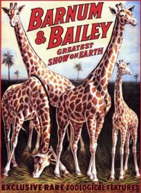 Barnum and Bailey : Exclusive Rare Zoological Features