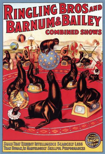 Ringling Bros. and Barnum and Bailey Combined Shows : Seals that Exhibit Intelligence