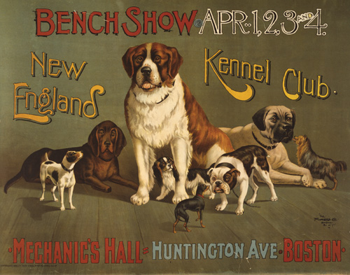 Bench show. New England Kennel Club