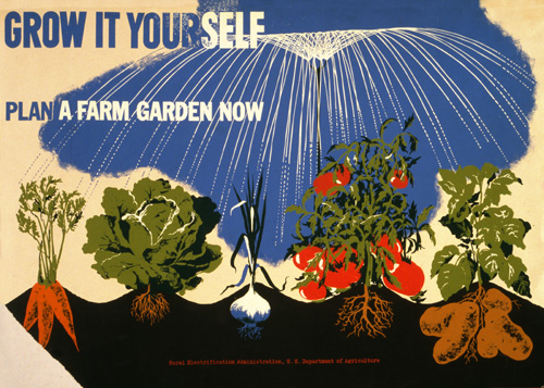 Help Us Preserve Your Surplus Food