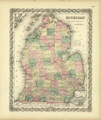 Colton's Map of  Michigan 1856