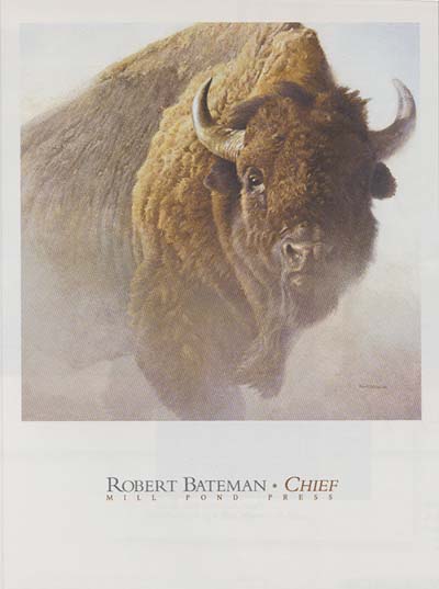 Robert Bateman - Chief (Buffalo)