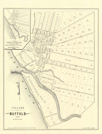 Buffalo: 1851