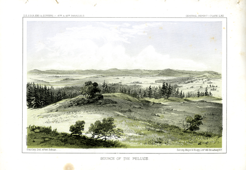 Source of the Peluse Source of the Peluse