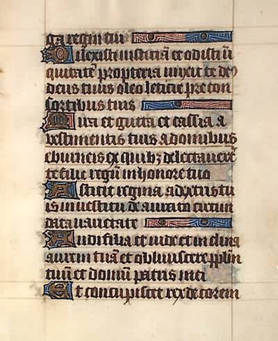 Book of Hours Leaf