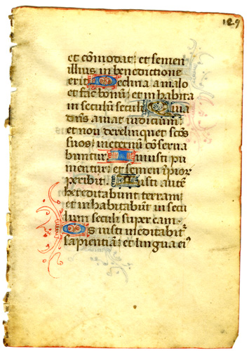 Medieval Psalter Leaf