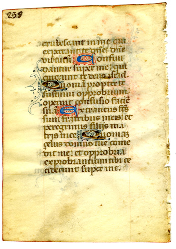 Medieval Psalter Leaf Medieval Psalter Leaf