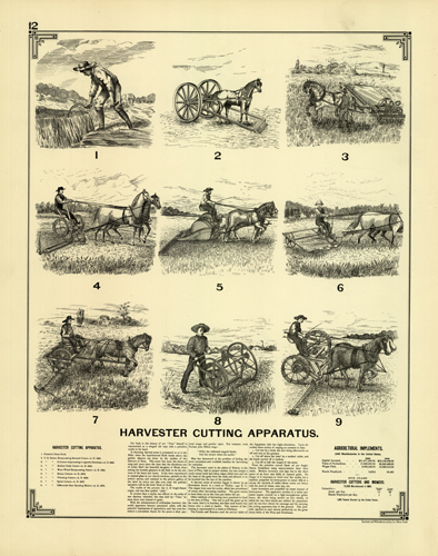 Harvester Cutting Apparatus