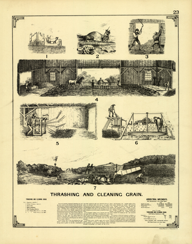 Thrashing and Cleaning Grain