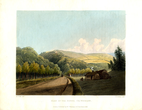 Glen of the Downs