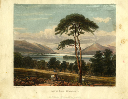 Lower Lake Lower Lake