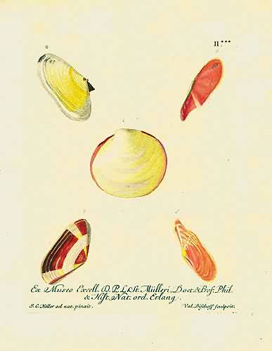 Ex Museo Excel ... Ex Museo Excel ...