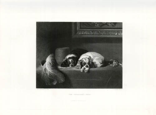 The Cavalier's Pets
