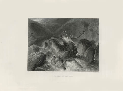 The Death of the Stag The Death of the Stag