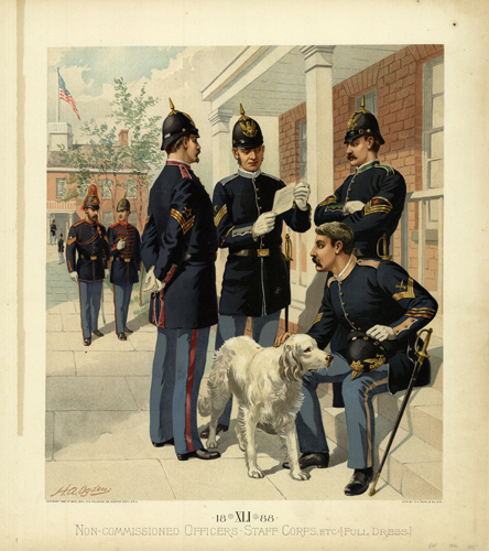 Non-Commissioned Officers Staff Corps. Etc. (Full Dress) 1888