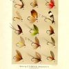 ORVIS Favorite Flies Fly Fishing LAKE Flies 11x14 Vintage Art Print Bright  Colorful Antique Plate Home Wall Art Decoration to Frame LSF0202 