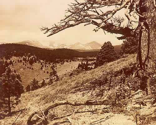 View of Mt. Audubon and Arapahoe Peak