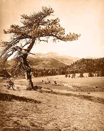 Longs Peak - Estes Park