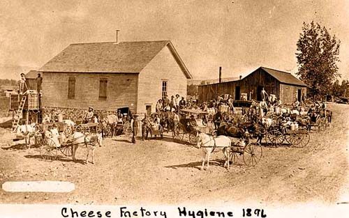 Cheese Factory Hygiene 1896