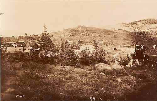 Town View of Caribou