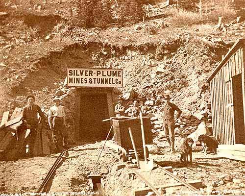 Silver Plume Silver Plume