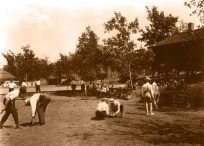 Chautauqua Horse Shoes