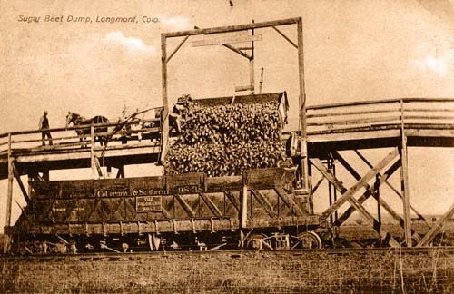 Sugar Beet Dump - Longmont