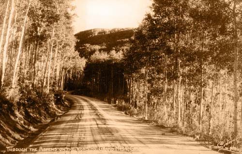 Through the aspens on the road to Grand Mesa