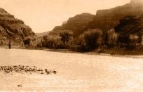 Silvery Colorado River near Palisade and Grand Junction