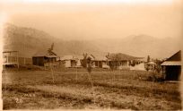 Chautauqua's Small Cottages