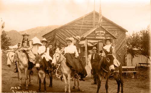 A Jack Ride A Jack Ride