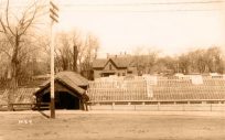 Taylor's Greenhouse