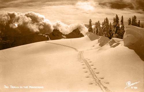 Ski Trails in the Mountains (Aspen)