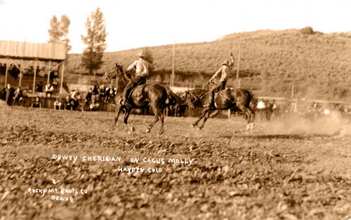 Dewey Sheridan on Cacus Molly Dewey Sheridan on Cacus Molly