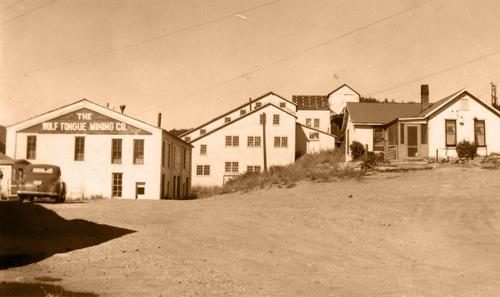 The Wolf Tongue Mining Co.