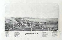 Bird's-eye View of Caledonia