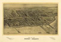 Bird's-eye View of New York City(Coney Island)