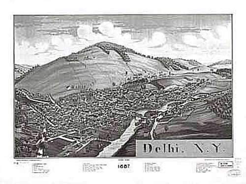 Bird's-eye View of Delhi