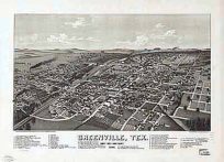 Bird's-eye View of Greenville