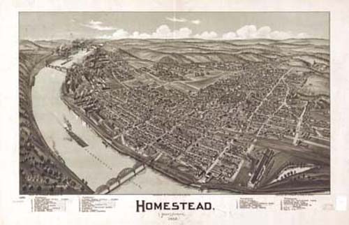 Bird's-eye View of Homestead