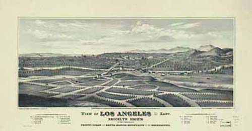 Bird's-eye View of Los Angeles Bird's-eye View of Los Angeles