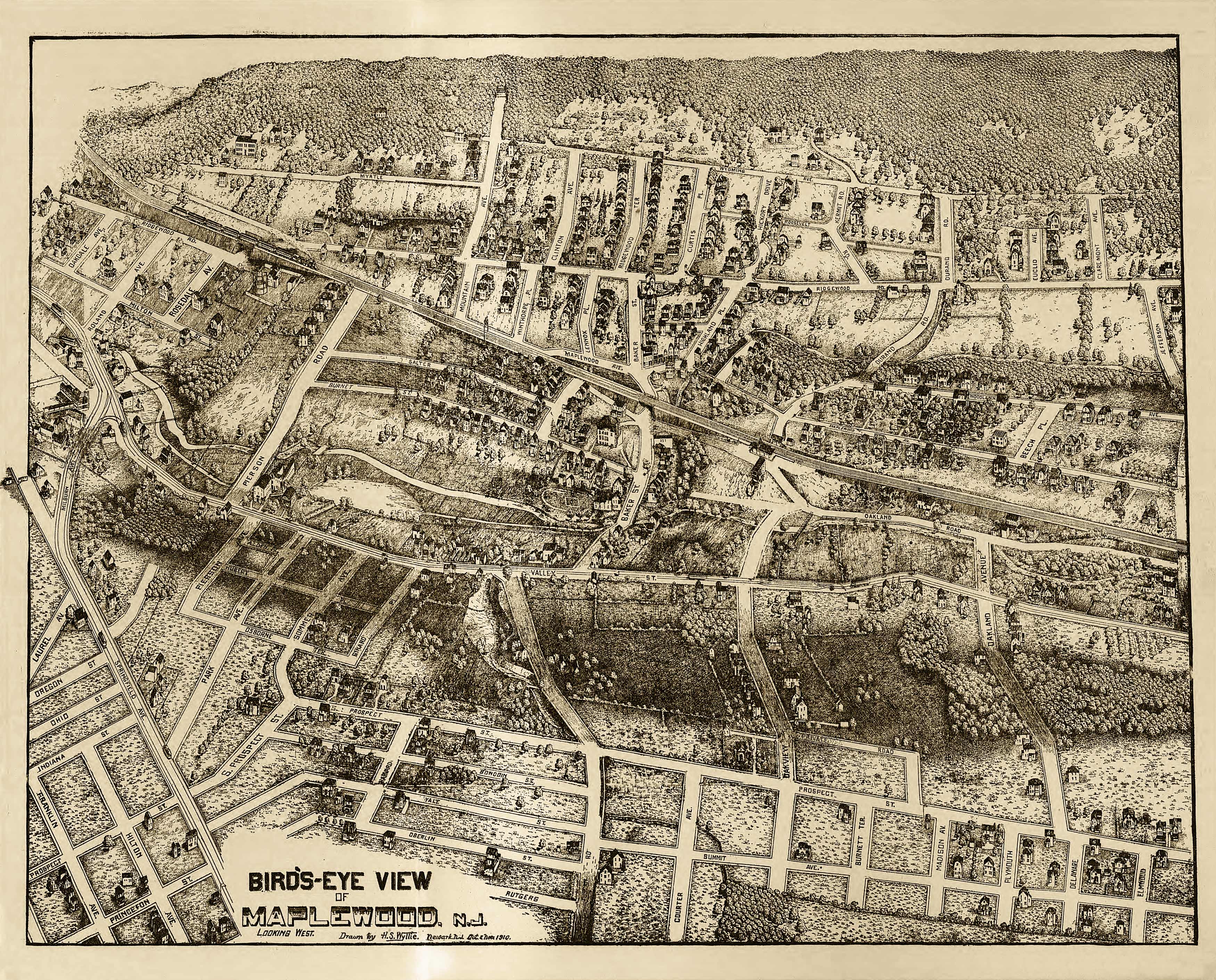 Bird's-eye View of Maplewood Bird's-eye View of Maplewood