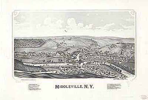 Bird's-eye View of Middleville